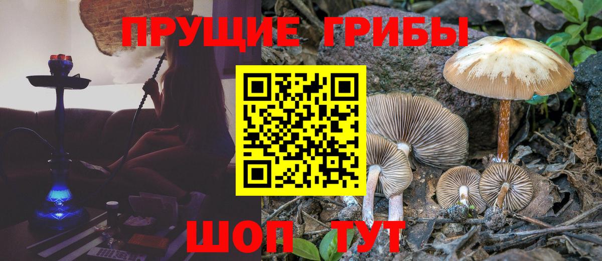 Рославль  Псилоцибиновые грибы мицелий  продажа наркотиков  Вход с VPN 